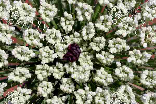 image 04