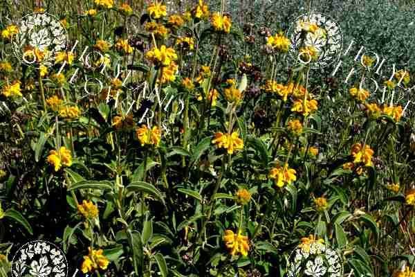 image 06